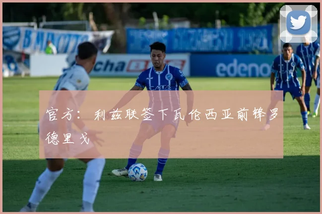 官方：利兹联签下瓦伦西亚前锋罗德里戈