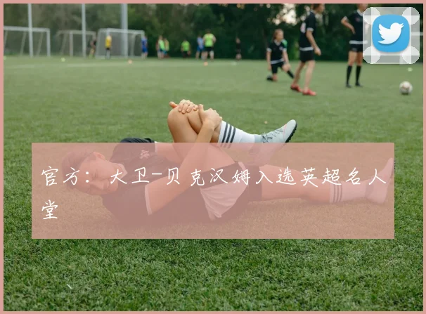 官方：大卫-贝克汉姆入选英超名人堂