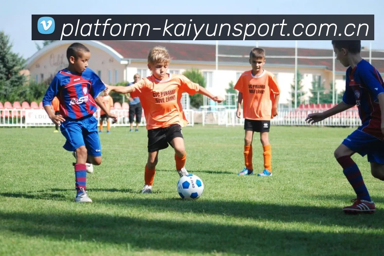 开云体育品牌故事