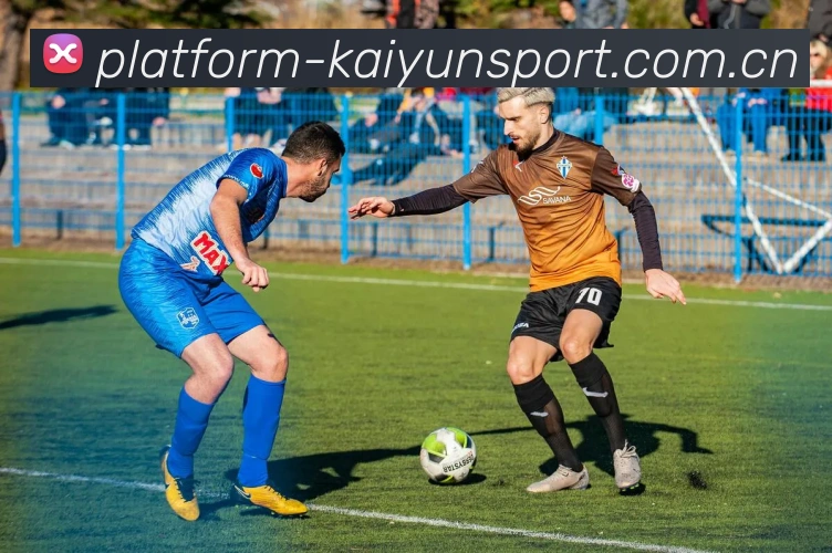 开云体育服务体系