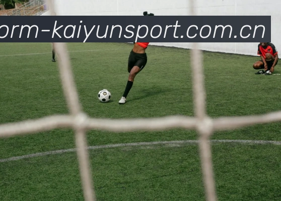 多媒体互动体验